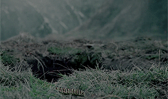 tumblr_ohx97i2zyp1sa952zo4_250